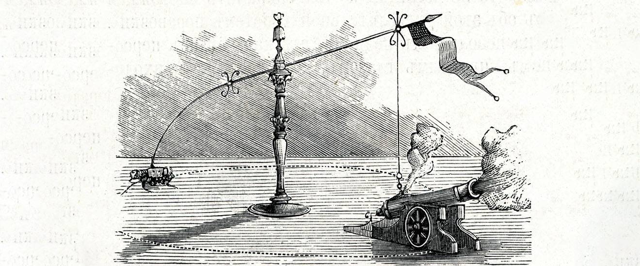 Are Flea Circuses Real?