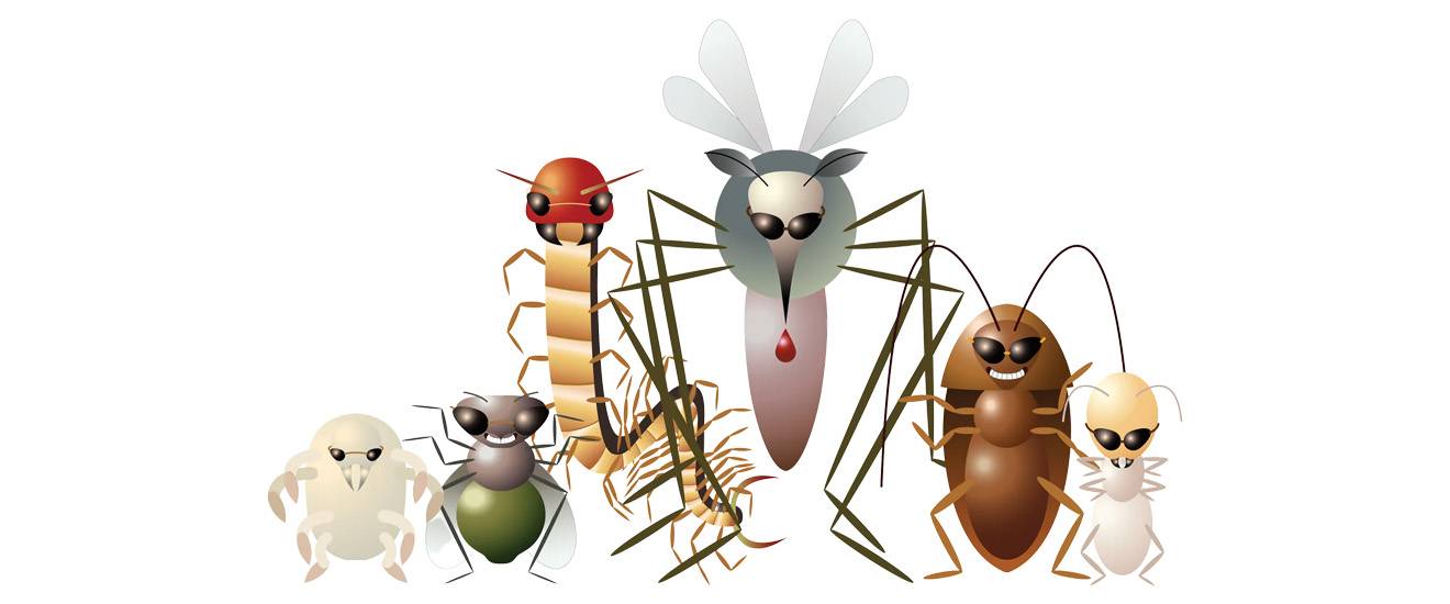 If Bugs Were Villains