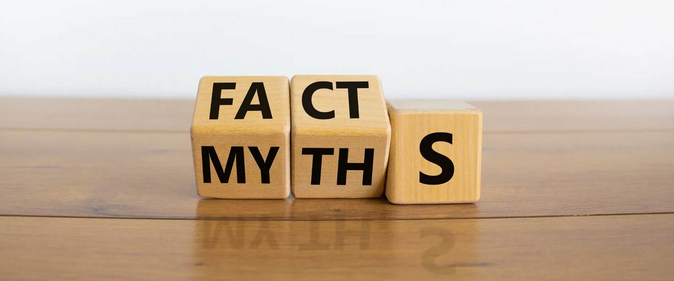 Bed Bug Facts And Myths