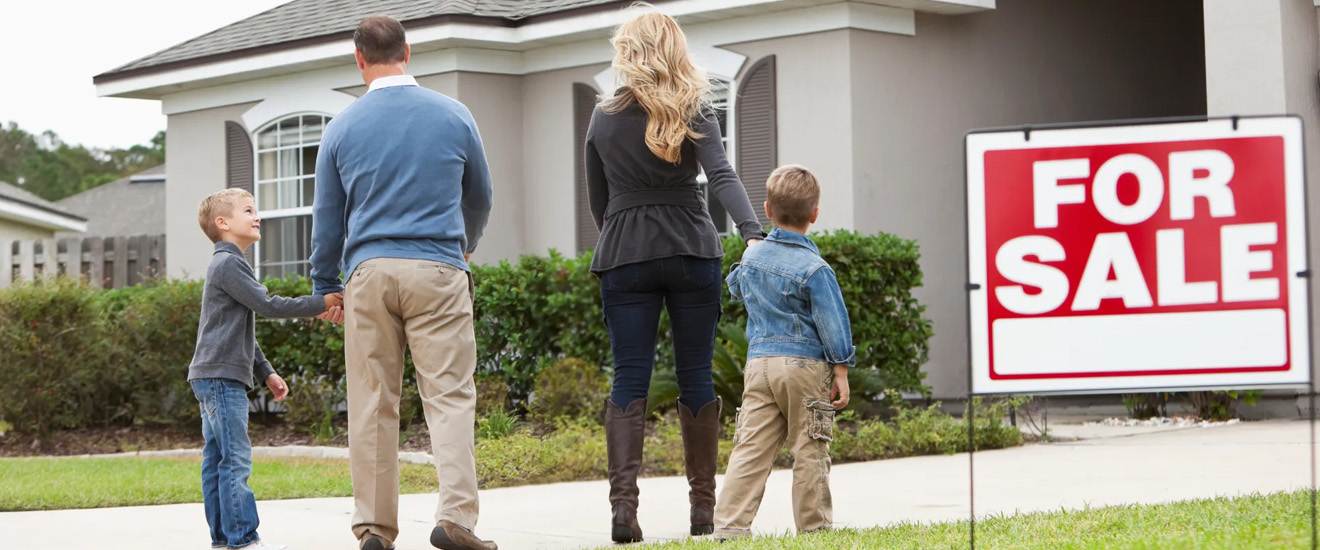 Pests And Property Value